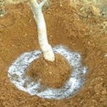 soil water trap Isonem